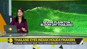 Gravitas: Thailand fetches for tourism amid plankton bloom