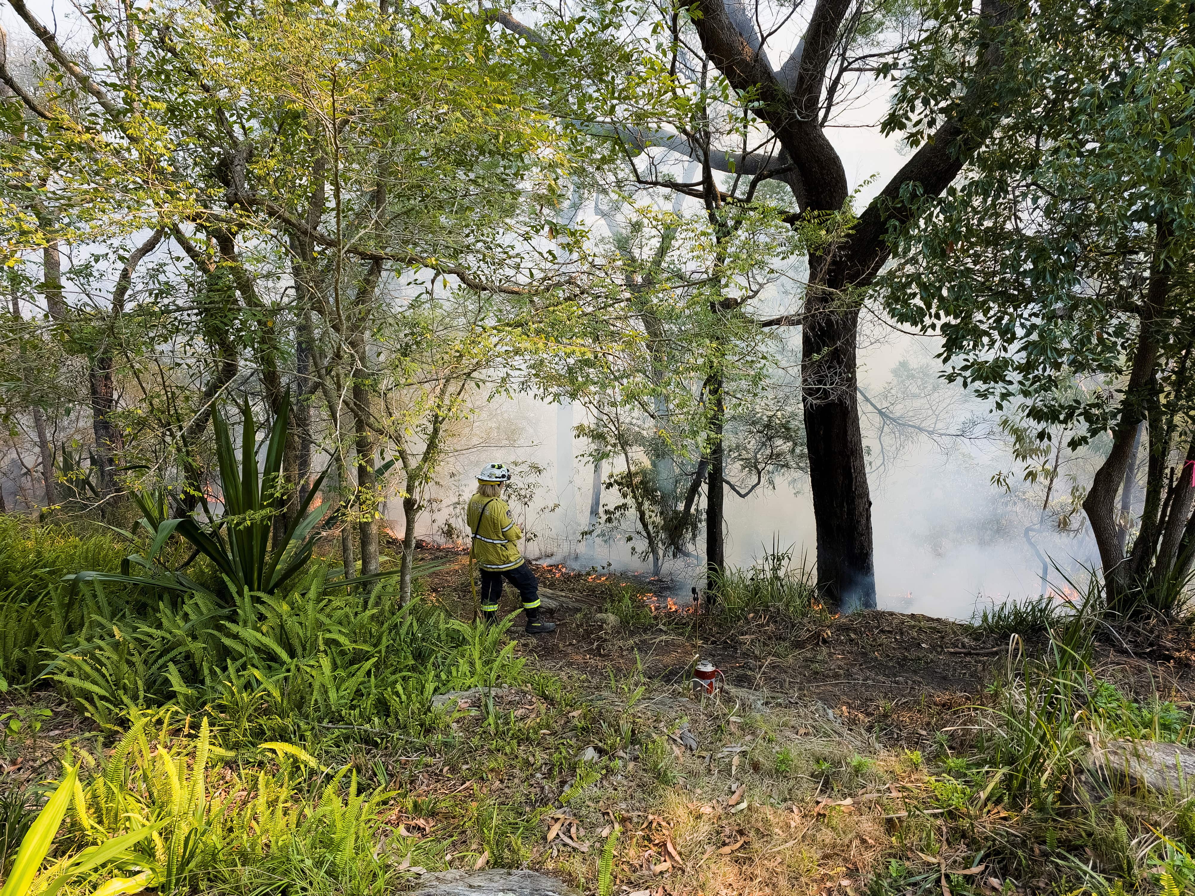Australia faces danger of bushfires as it battles spring heatwave