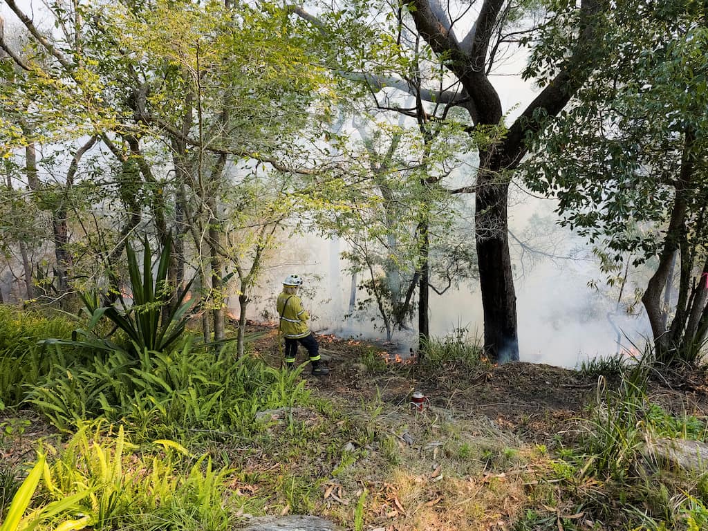 Australia faces danger of bushfires as it battles spring heatwave