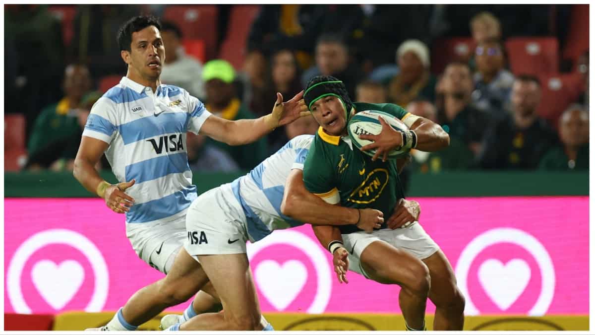 Rugby World Cup: Springboks happy to take calculated risk with 7-1 split Rugby World Cup: Springboks happy to take calculated risk with 7-1 split