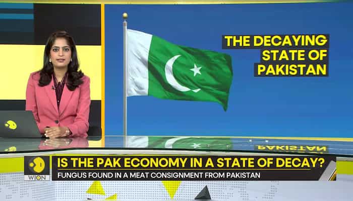 Gravitas: Pak Minister's shocker, calls Pakistan 'birthplace of Hinduism'