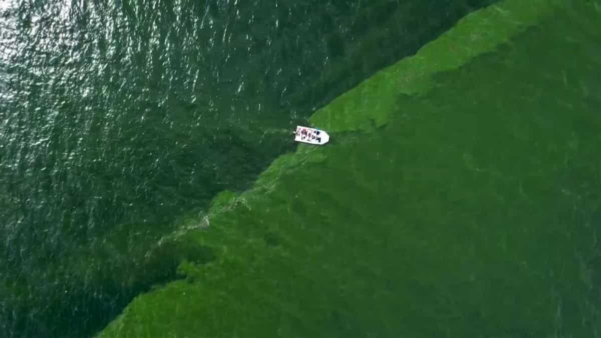 Thailand's picturesque emerald-hued waters hide this dark secret