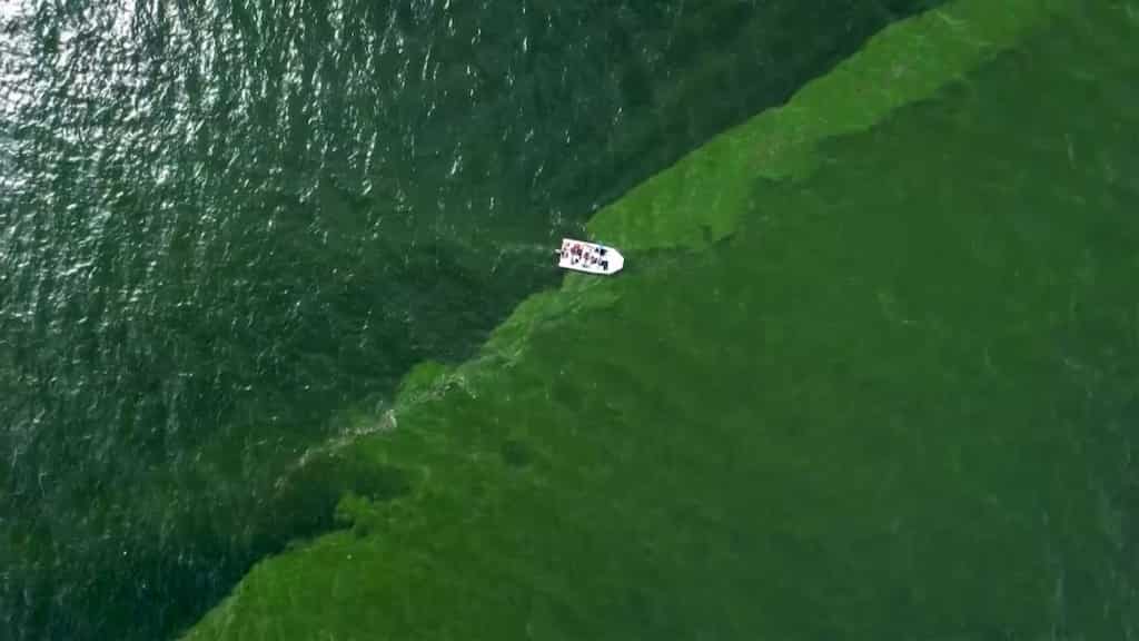 Thailand's picturesque emerald-hued waters hide this dark secret