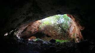 Shocking findings: Neolithic humans altered bones of deceased to make tools