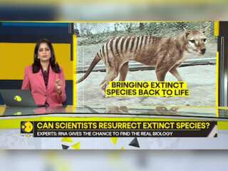 Gravitas: Scientists extract RNA from extinct Tasmanian tiger