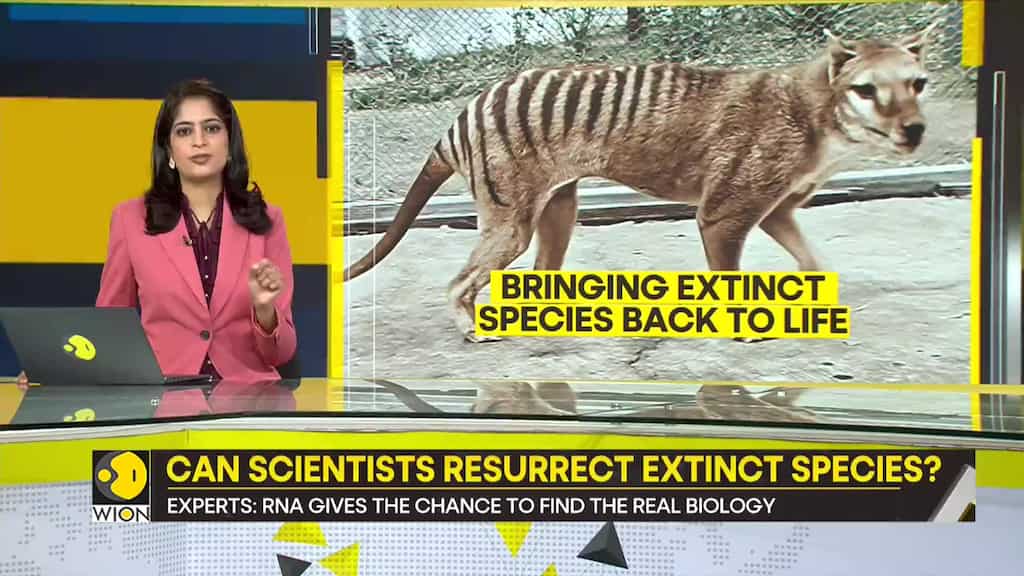 Gravitas: Scientists extract RNA from extinct Tasmanian tiger