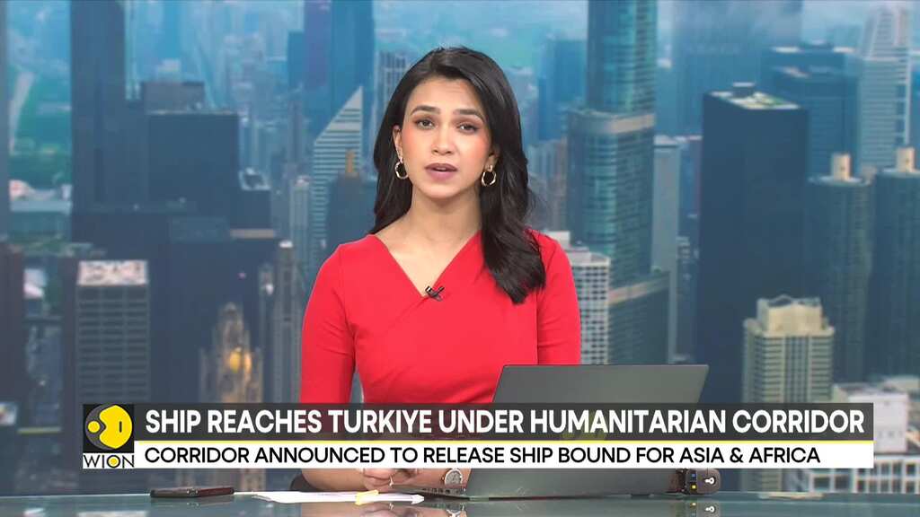 Ship with Ukraine grain back in Turkey under "humanitarian corridor"