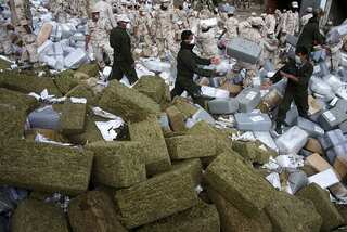 Organised crime groups now fifth-largest employer in Mexico: Report