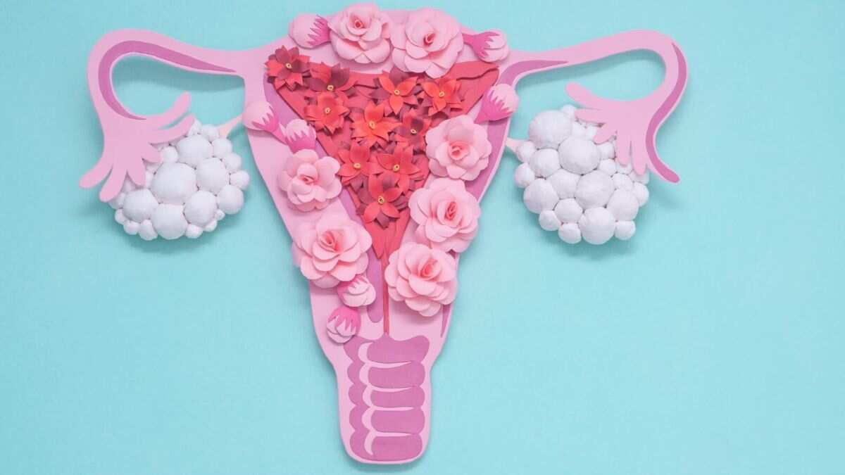 The PCOS puzzle: Decoding genetic and lifestyle factors The PCOS puzzle: Decoding genetic and lifestyle factors