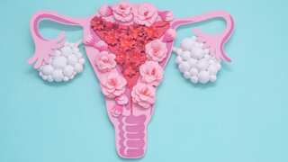 The PCOS puzzle: Decoding genetic and lifestyle factors