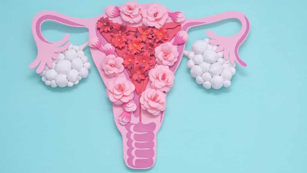 The PCOS puzzle: Decoding genetic and lifestyle factors