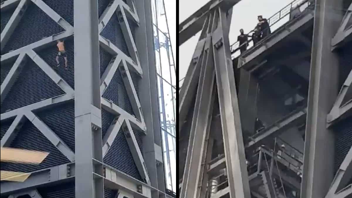 WATCH | Free-climber arrested after scaling 50-storey ‘Cheesegrater’ skyscraper in London WATCH | Free-climber arrested after scaling 50-storey ‘Cheesegrater’ skyscraper in London