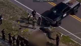 Video | Giant alligator with 'body in mouth' shocks Florida locals