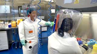 Another coronavirus on the way? This is what China's top virologist 'batwoman' thinks
