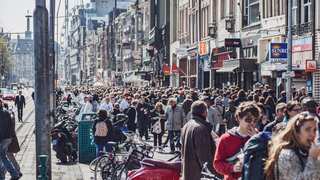Danish dictionary goes under major review to remove gender stereotypes