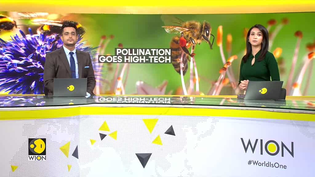 Farmers turn to tech to combat declining bee population