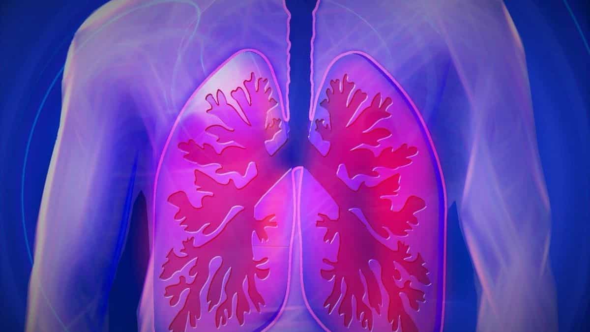 Breathe easy! 7 daily habits for healthy lungs | World Lung Day 2023