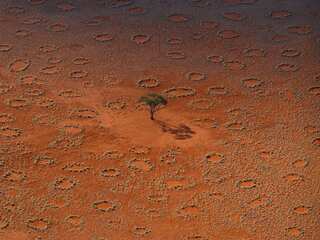 Over 250 mysterious crop circles spotted from space across three continents