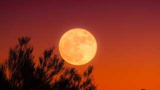 Skygazers alert! Harvest Supermoon, the last this year, rises Thursday. Here's when to look up