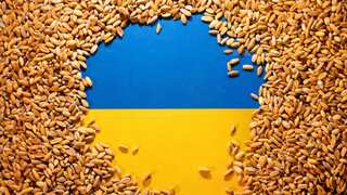After days of bitterness, some thaw in Poland-Ukraine relationship as two sides talk grain import ban