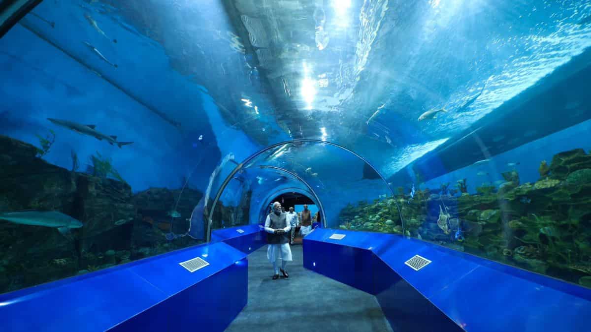 The Indian PM calls Shark Tunnel 'captivating'