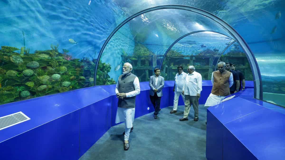 'Exhilarating experience'