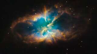 Fungi's cosmic journey: From unwanted space stowaway to scientific fascination for its resilience