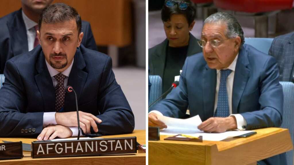 At UNSC meeting, Pakistan envoy criticises Afghan counterpart, says this