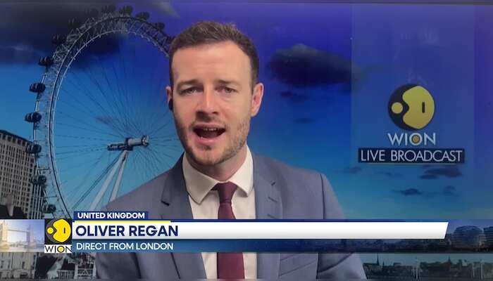 Famous Sycamore Gap tree cut down, teen arrested in England