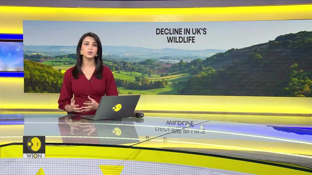 UK classified as one of world's most nature depleted countries