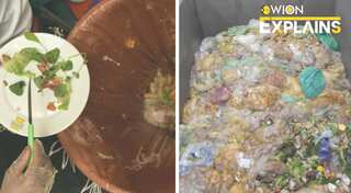 Explained | Int’l day of awareness of food loss & waste reduction: Here's how food waste affects environment