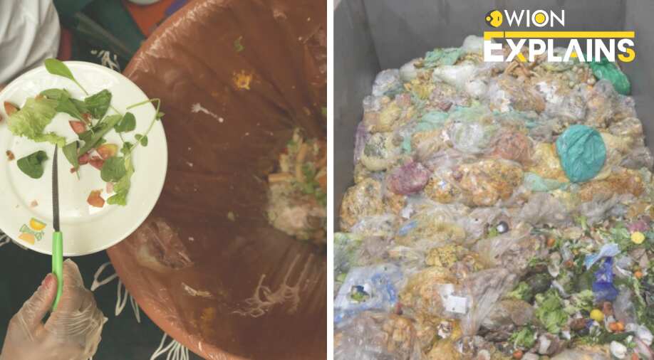 Explained | Int’l day of awareness of food loss & waste reduction: Here's how food waste affects environment