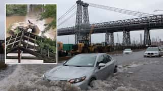 'Life threatening' New York rains make Sally the Sea Lion to make brief escape