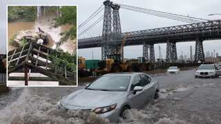 'Life threatening' New York rains make Sally the Sea Lion to make brief escape