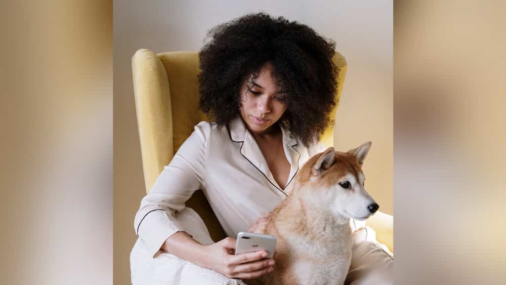 Private luxury canine air travel faces backlash from climate activists