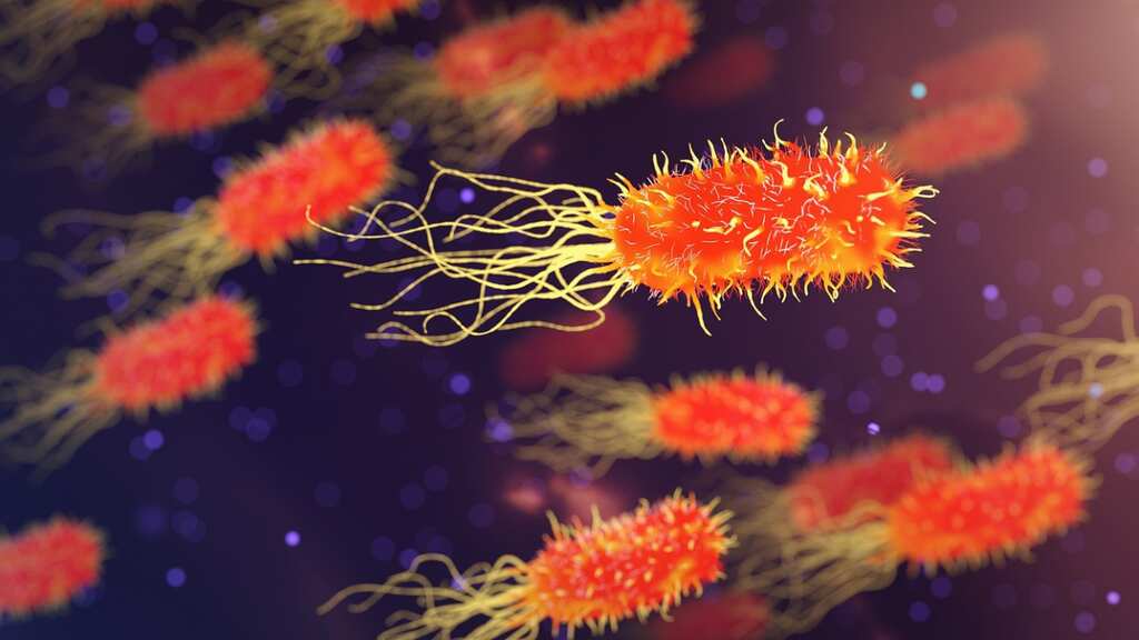 Australian woman becomes world's first person to survive deadly flesh-eating bacteria