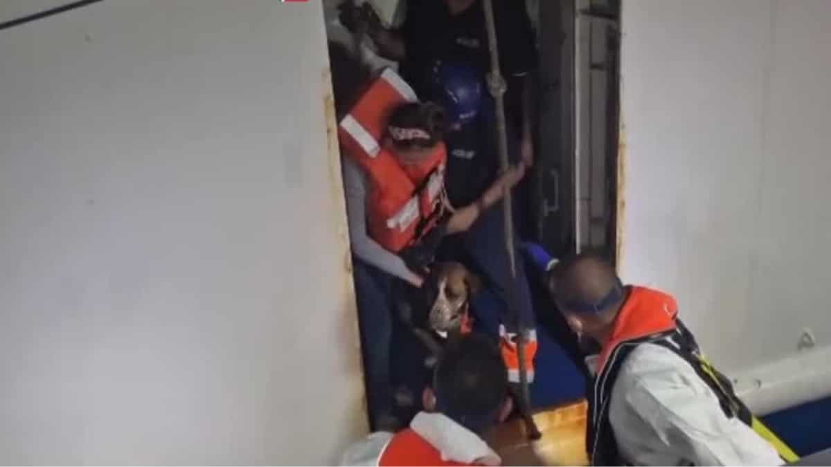 Watch | Italian coast guard rescues over 170 people aboard burning ferry Watch | Italian coast guard rescues over 170 people aboard burning ferry