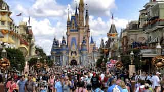 A woman claims a Disney park ride gave her a 'wedgie', leaving her seriously injured
