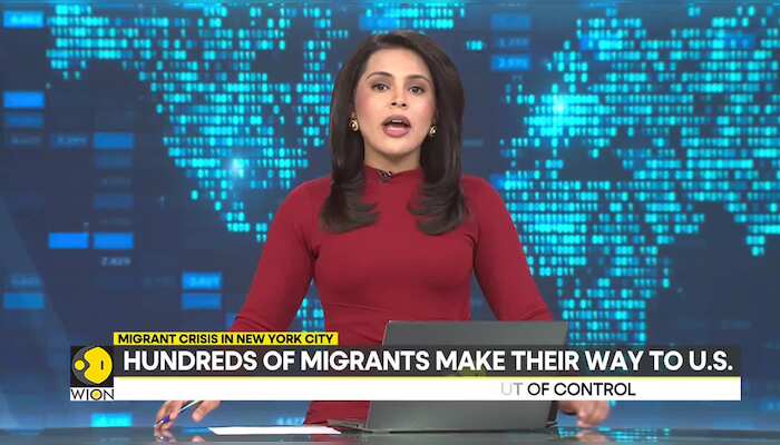 WionNews Video