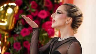 Lady Gaga escapes $500,000 payment in lawsuit by dognapper's associate. Details here
