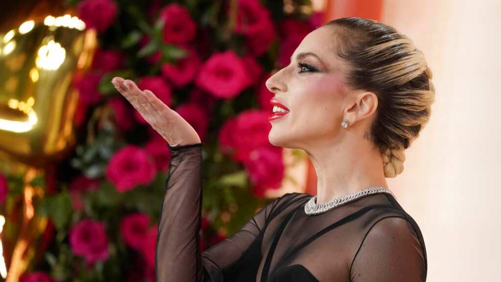 Lady Gaga escapes $500,000 payment in lawsuit by dognapper's associate. Details here