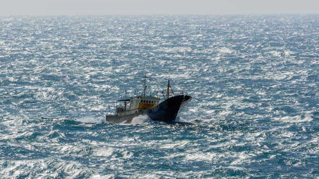 Three Filipino fishermen killed in South China Sea after collision with foreign vessel, says Philippines