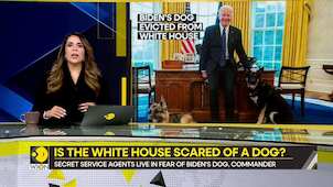 Gravitas: US President Biden's dog removed from White House | Is the secret service scared of a dog?