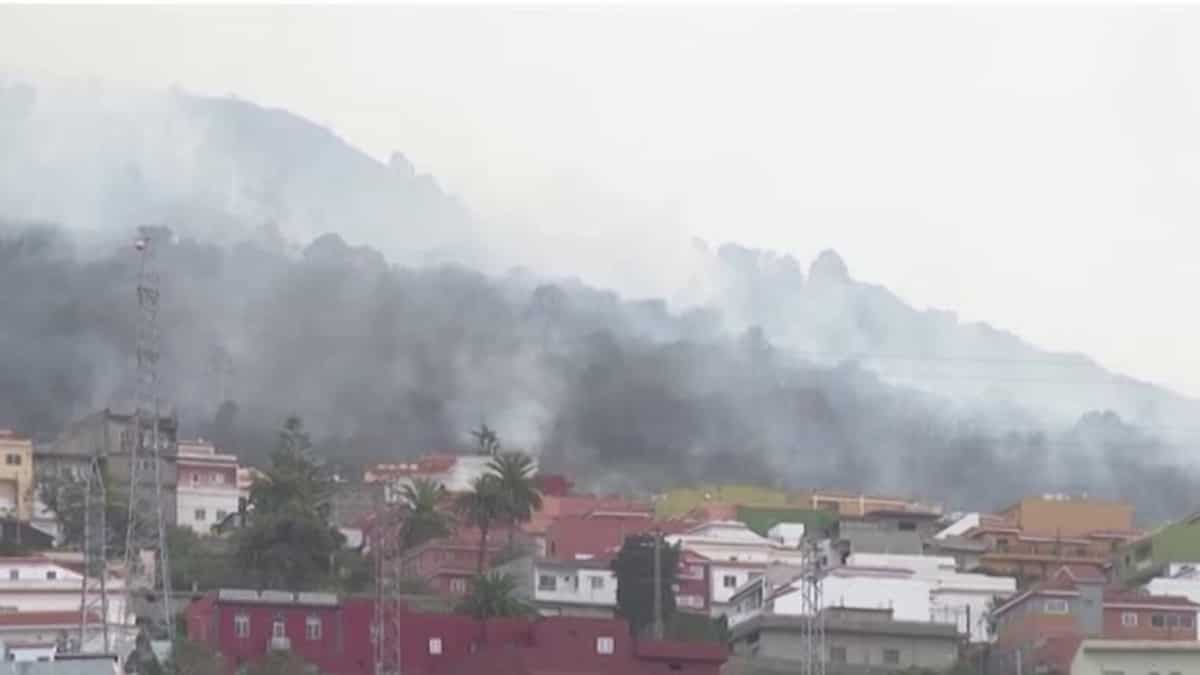 Spain: Around 3,000 people evacuated in Tenerife after wildfire re-ignites Spain: Around 3,000 people evacuated in Tenerife after wildfire re-ignites