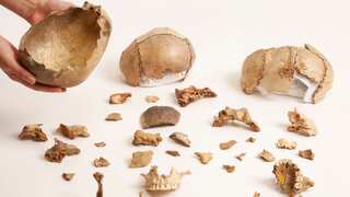 Europeans would eat, not bury, their dead 15,000 years ago: Study