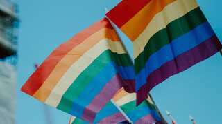 Rights groups cheer as Mauritius top court decriminalises same-sex relations