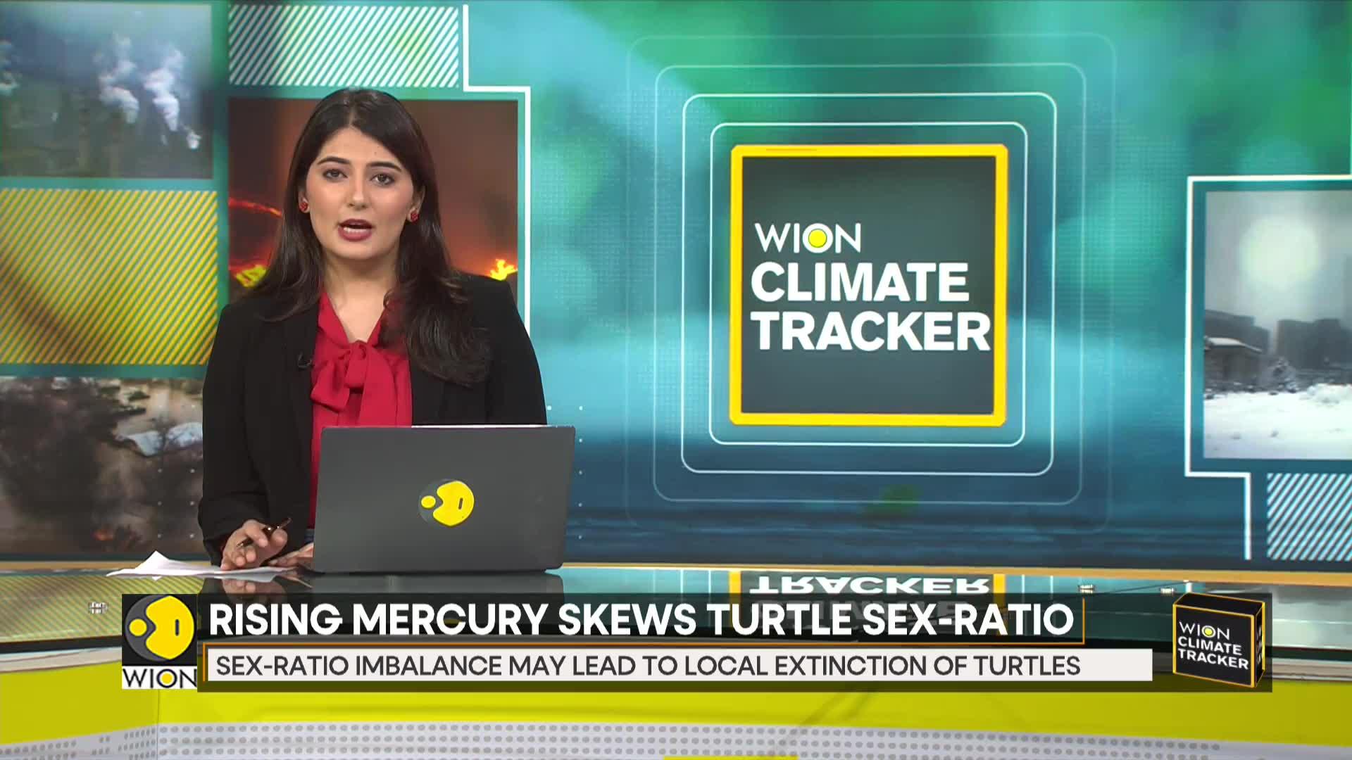 WionNews Video