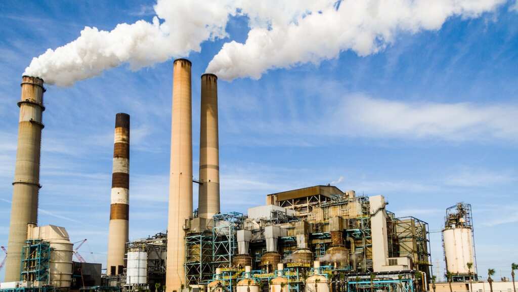 Delhi: GRAP Stage 1 likely to be activated during weekend, AQI may enter ‘poor' category