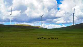 Record-high wind farm becomes operational in Tibet, but can it withstand Himalayan thin air?
