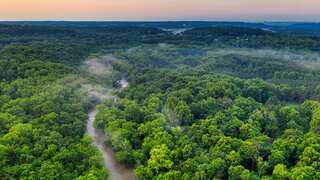 The Amazon may still have thousands of ancient structures beneath it: Study